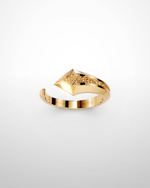 Eve No. 5 en Or jaune