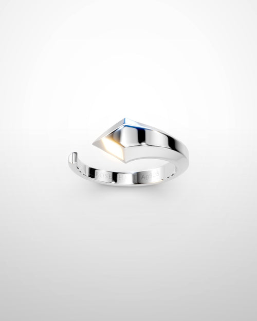 Eve No. 1 Silver — front view