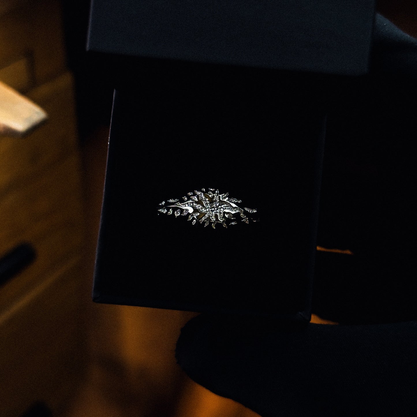 BURST SEYRA - ARGENT