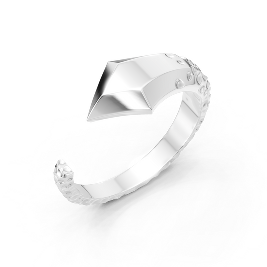 EVE CHAOS - ARGENT