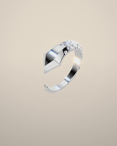 Eve No. 2 Silver — 360 rotation