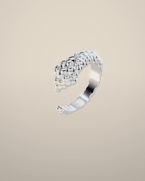 Eve No. 4 Silver — 360 rotation